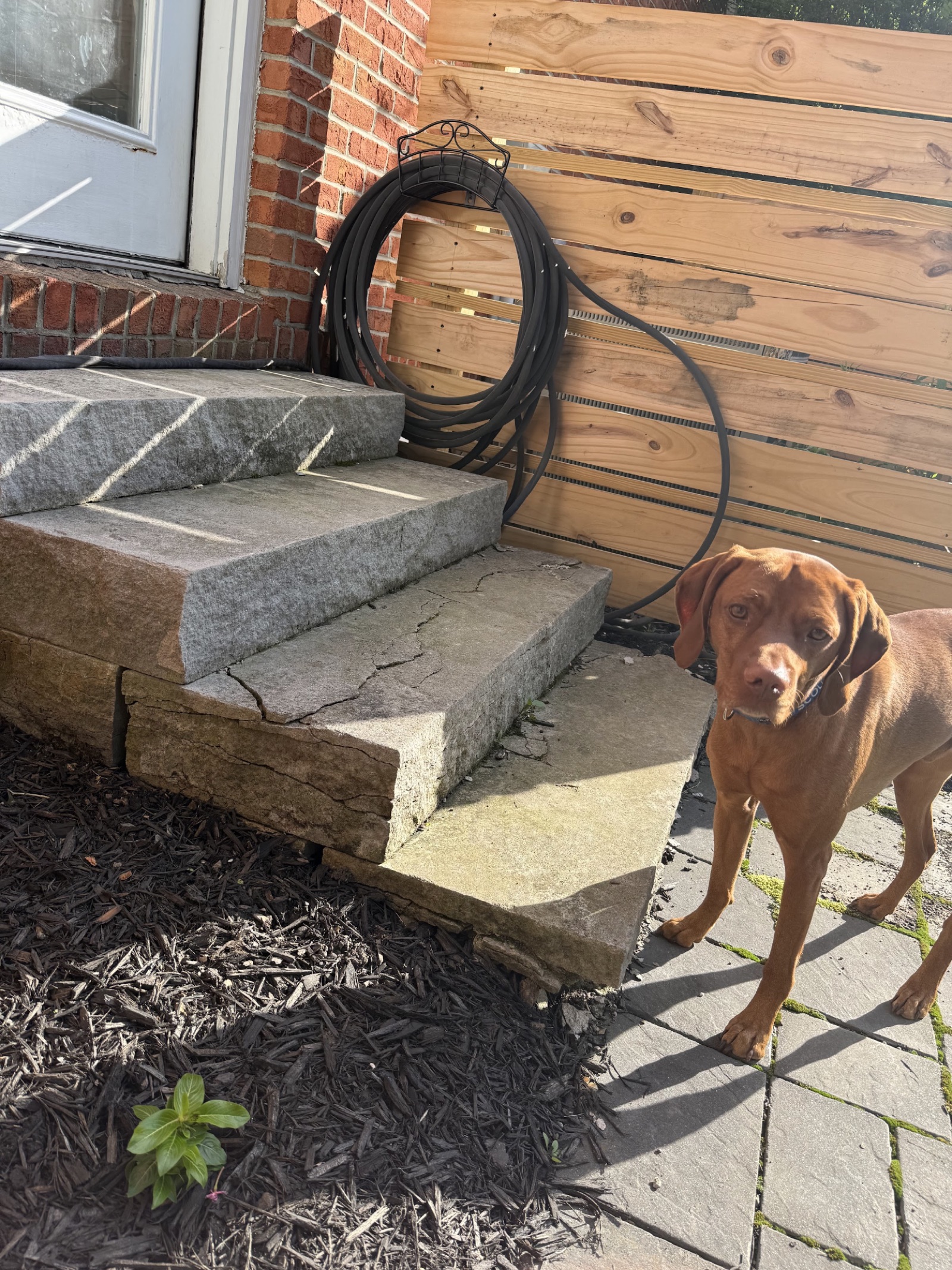 Replacing steps photo 1